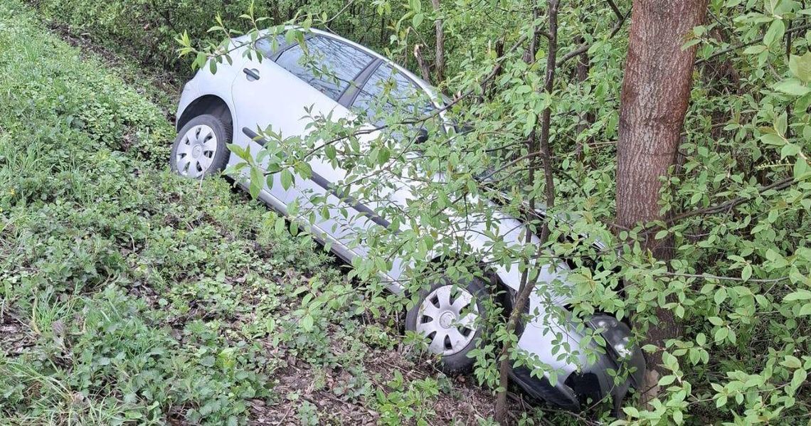 zdjęcie przedstawia pojazd osobowy w zaroślach
