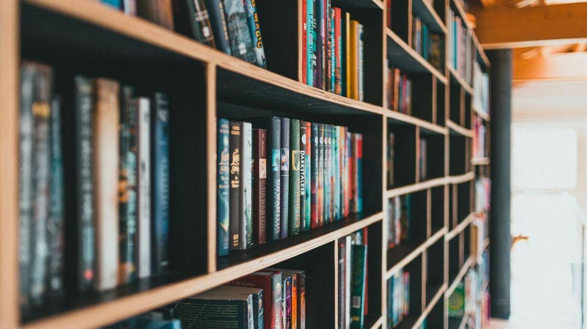 Zdjęcie przedstawia książki na półce w bibliotece