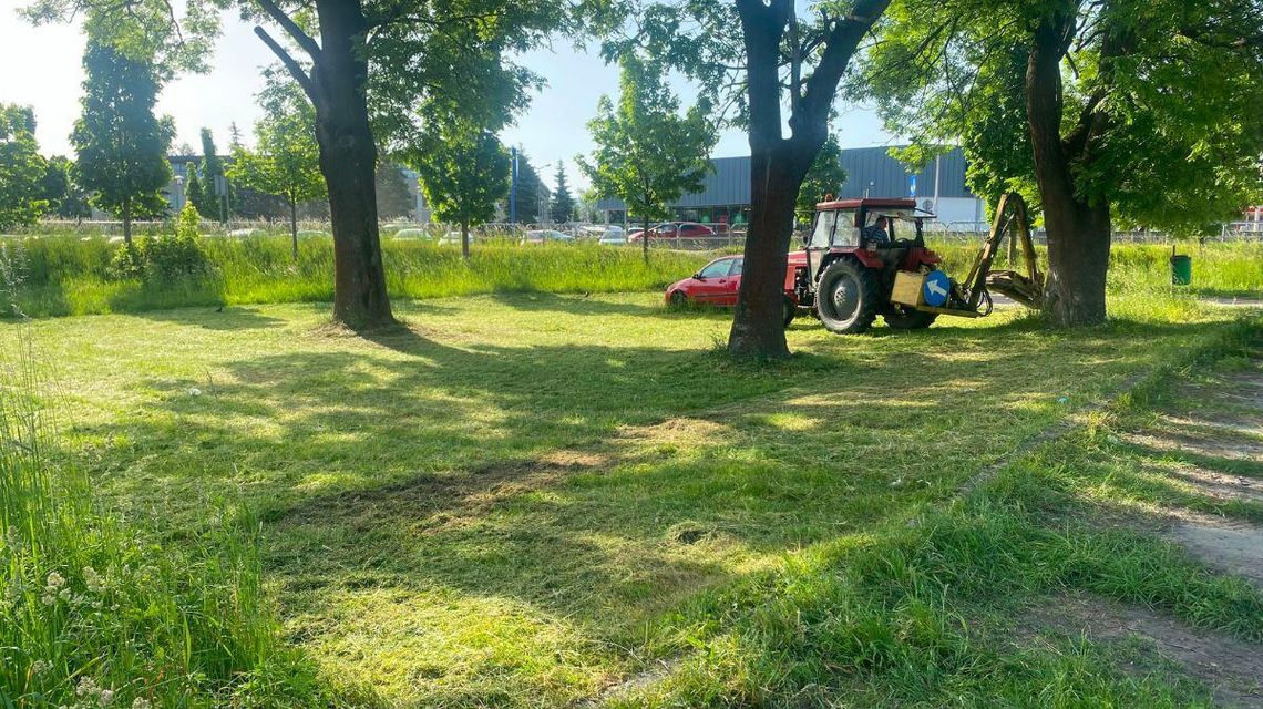 zdjęcie przedstawia koszoną trawę przez traktorek