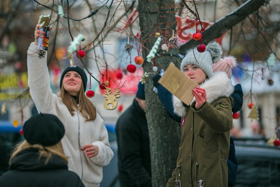 Gorlicki Rynek stroi się na święta [ZDJĘCIA]