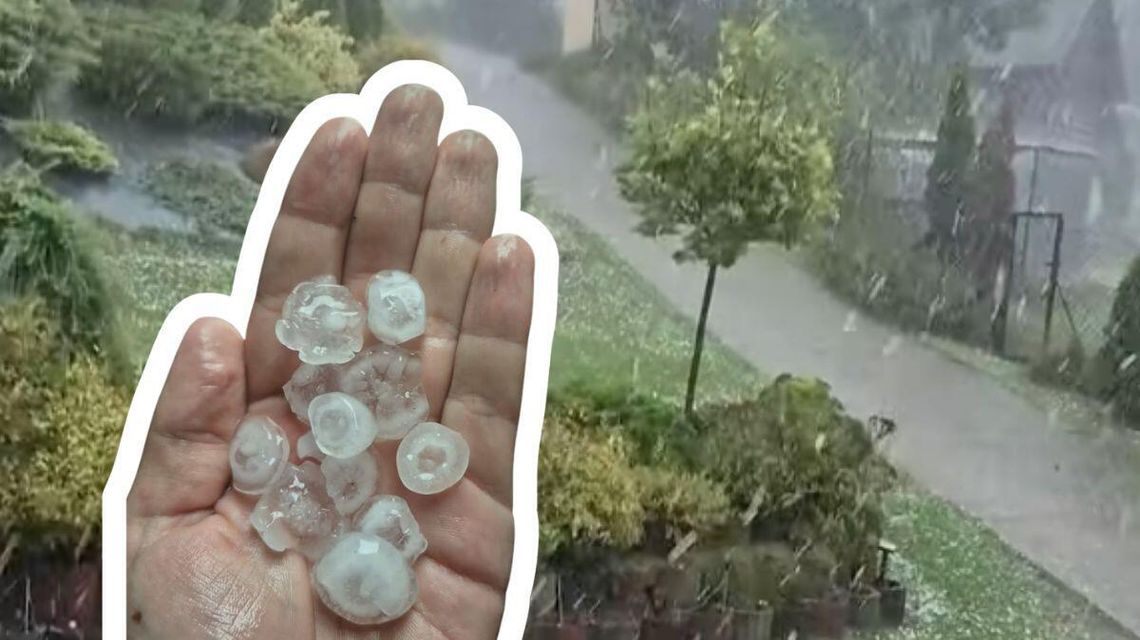 ręka na której leżą kulki gradu, w tle ogród w brunarach w pow. gorlickim
