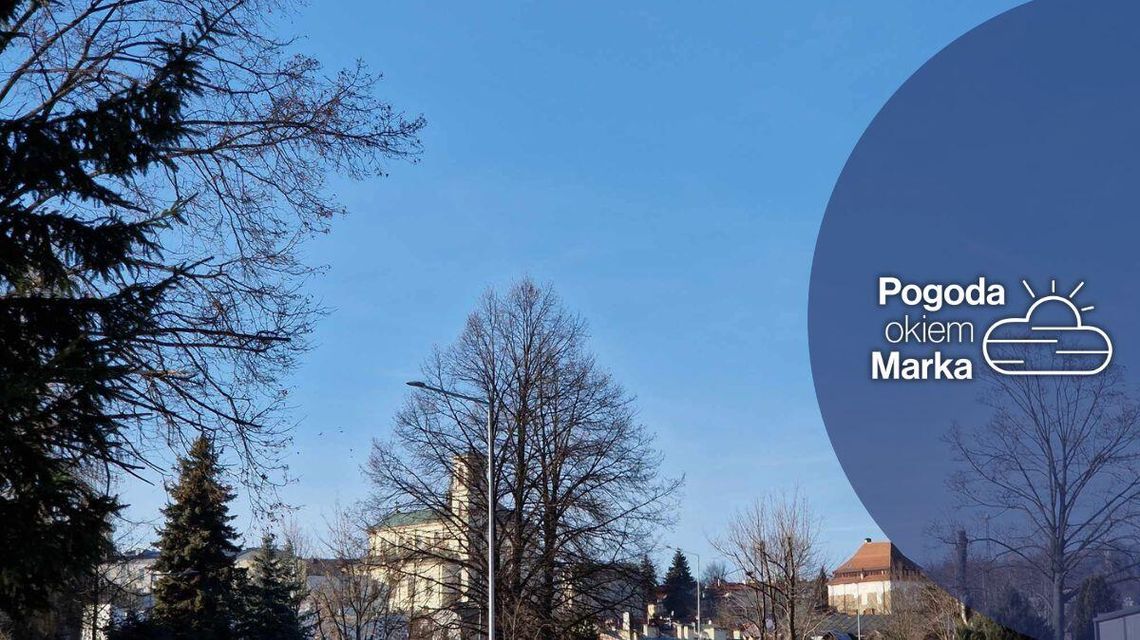 zdjęcie przedstawia drzewa i budynek kościoła