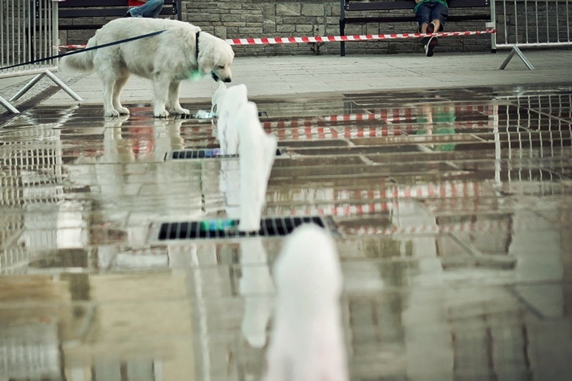 Idą upały, gdzie się schłodzić?