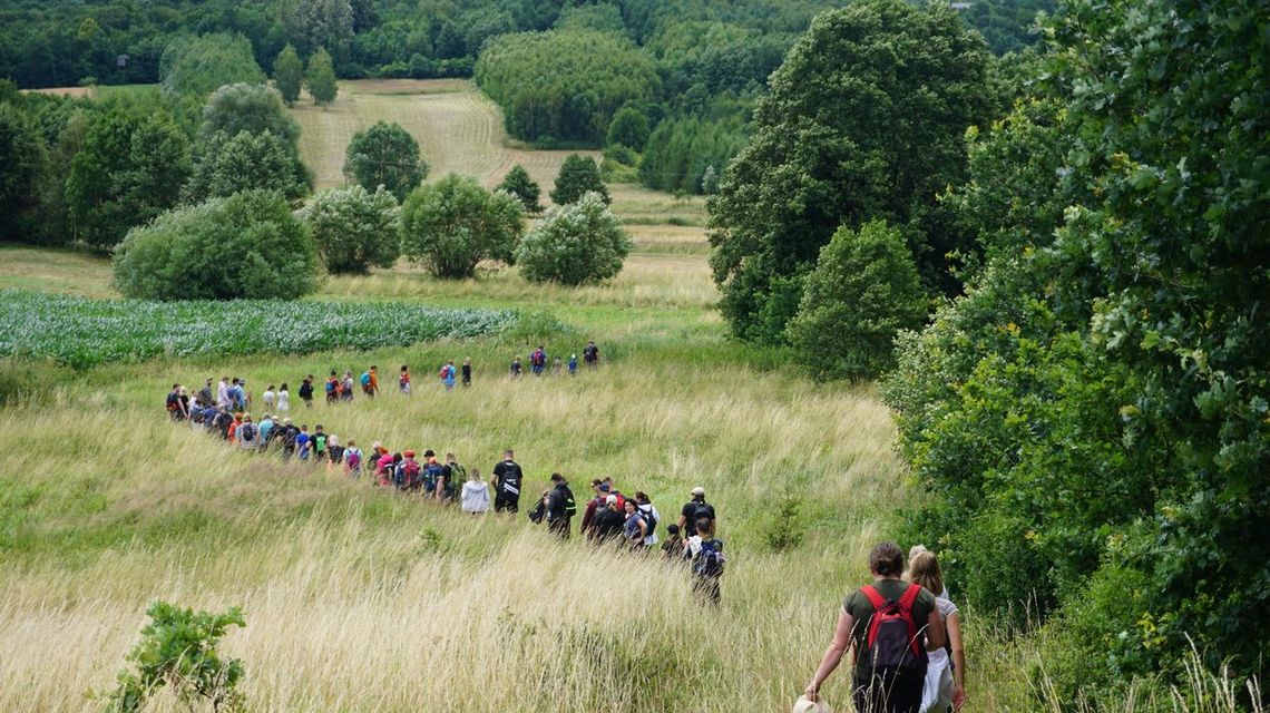 zdjęcie przedstawia grupę ludzi idących przez łąkę