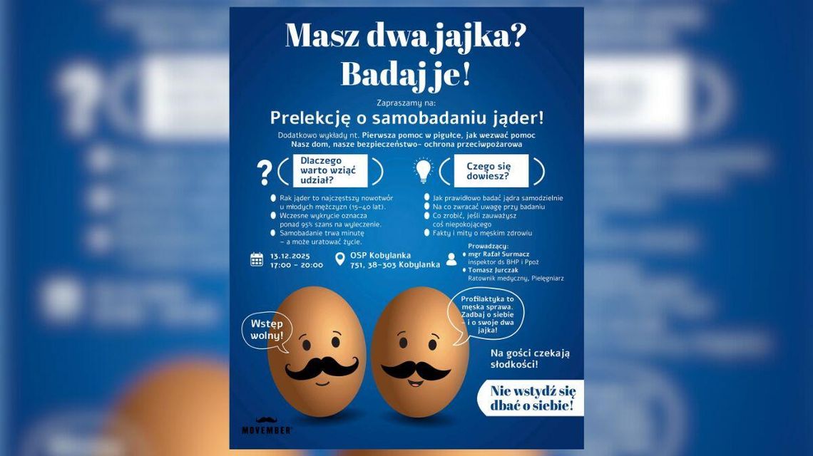 zdjęcie przedstawia graficzny obraz dwóch jajek kurzych