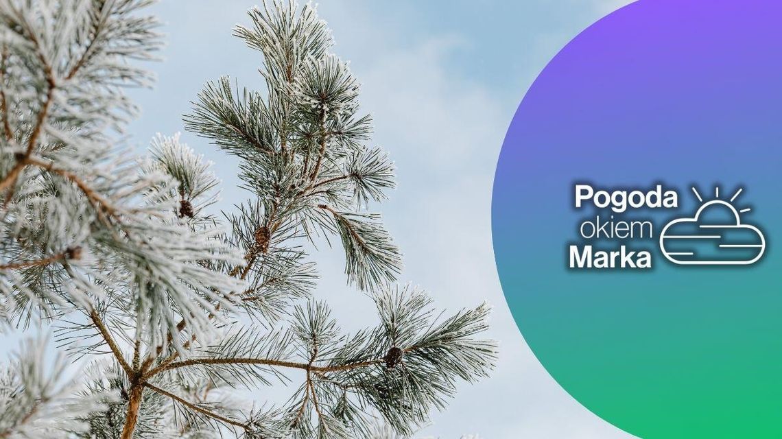 Jaki będzie pierwszy dzień grudnia? | Prognoza pogody na dziś - halogorlice.info Jaki będzie pierwszy dzień grudnia? | Prognoza pogody na dziś - halogorlice.info