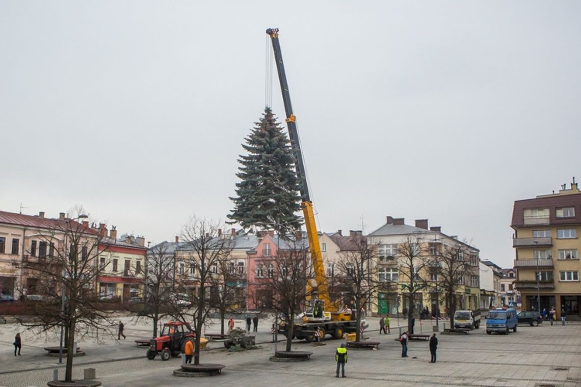 Już jest! Piękna i okazała!