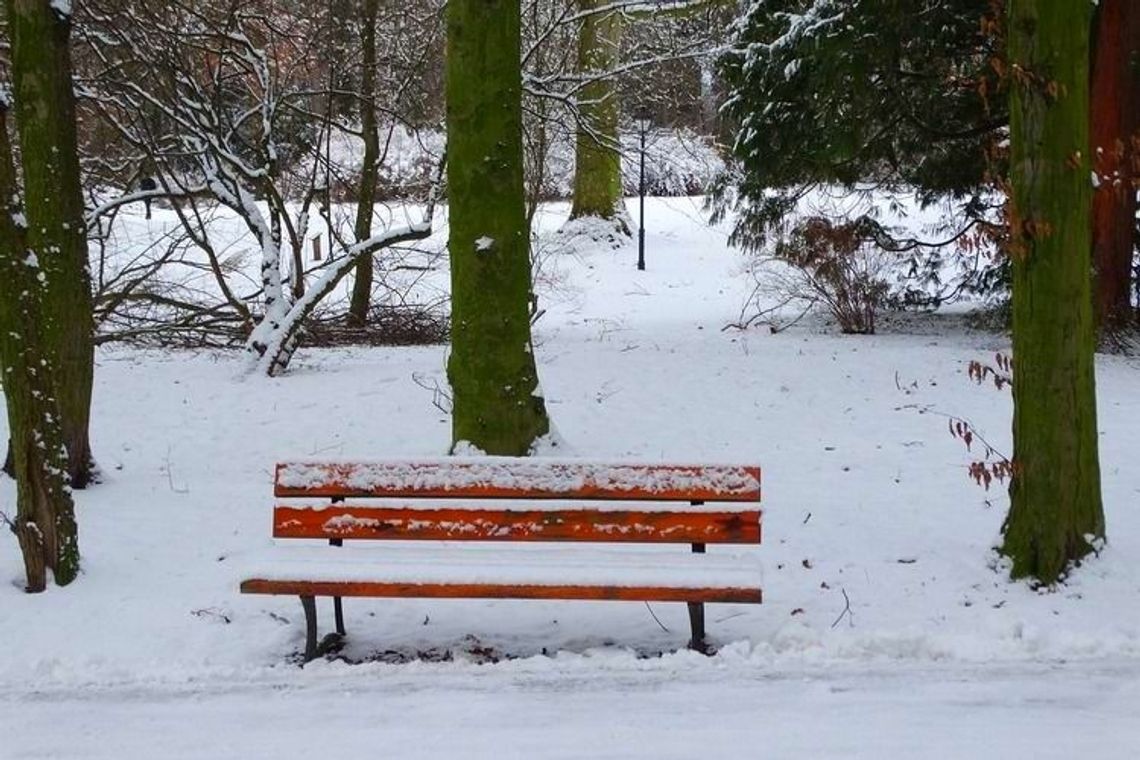 Już wkrótce zrobi się biało. Ile spadnie śniegu?