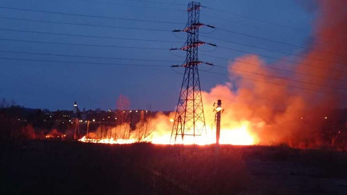 Kilkadziesiąt pożarów suchych traw od początku roku. Strażacy kolejny raz apelują o niewypalanie łąk!