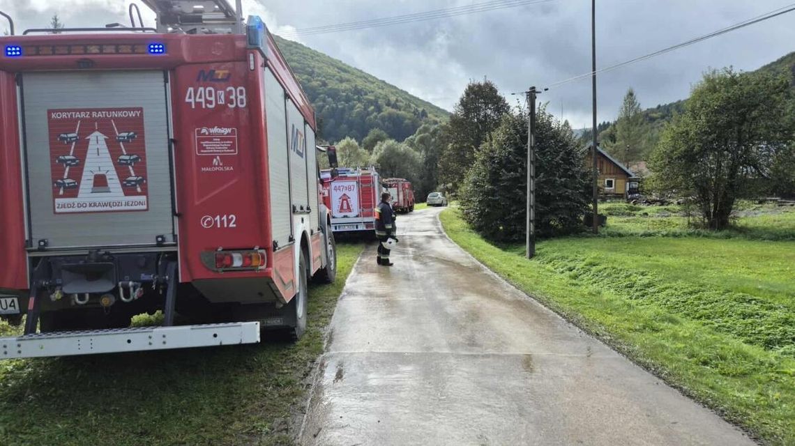zdjęcie przedstawia policyjny radiowóz
