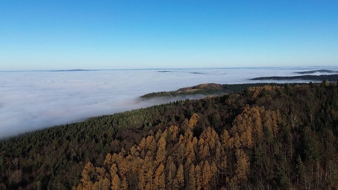 widok z wieży widokowej na wzniesienia spowite mgłą