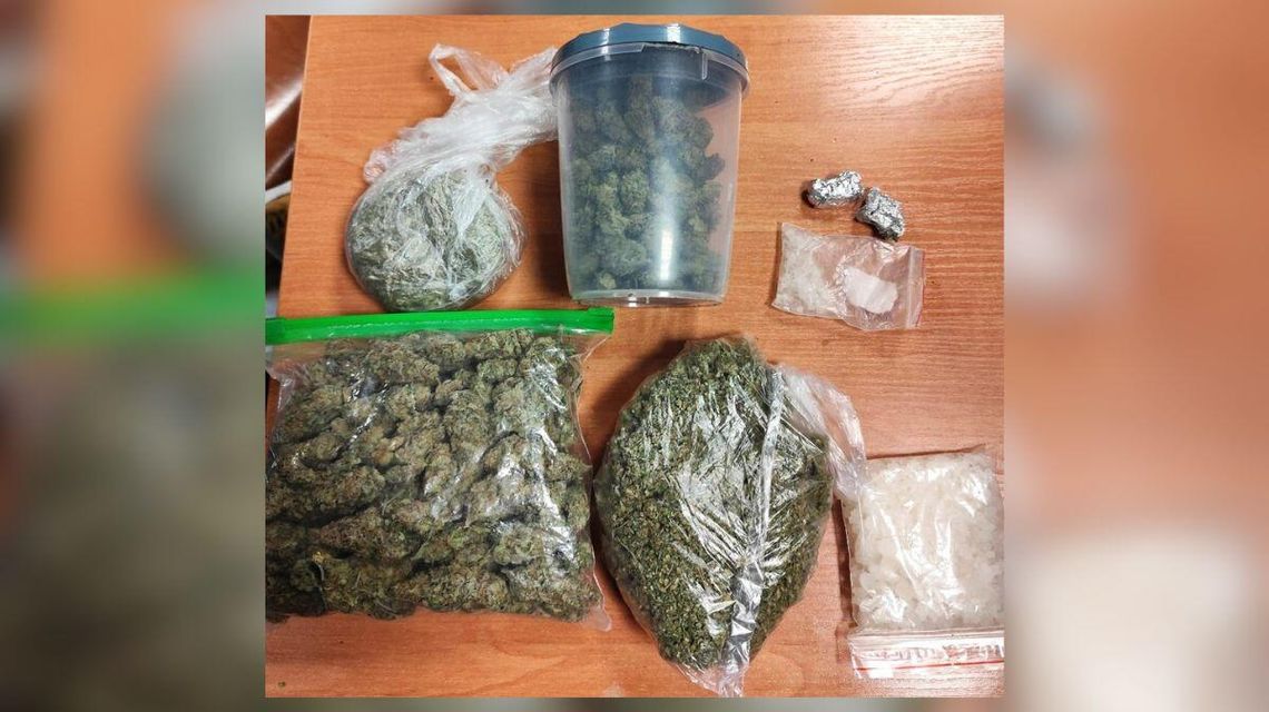 zdjęcie przedstawia woreczki z roślinkami i proszkiem