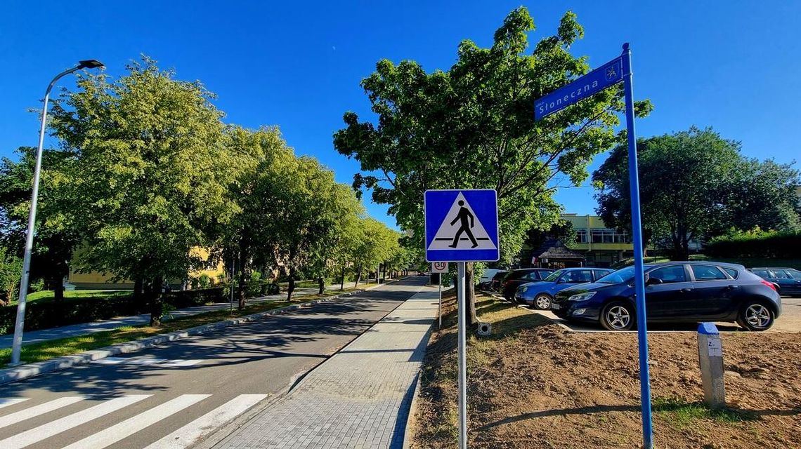 zdjęcie przedstawia jezdnię z drzewami