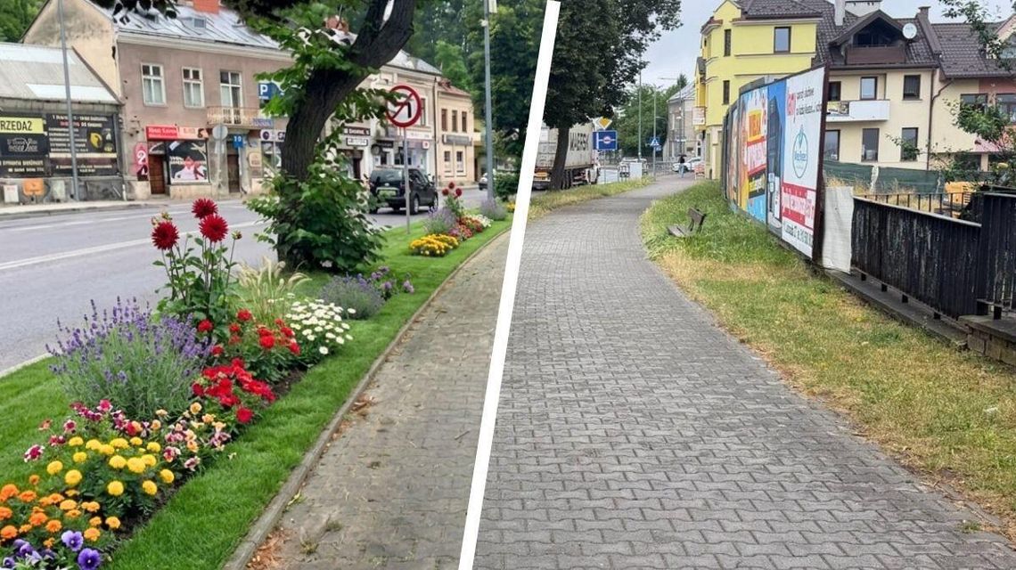 Najpiękniejszy ogródek w Gorlicach? Pomysł radnych może rozpocząć szerszą dyskusję o miejskiej zieleni zdjęcie przedstawia ulicę w mieście, trawnik z kwiatami