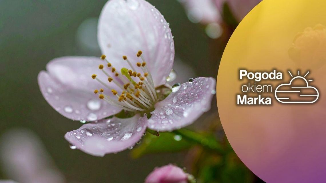 Niedziela z jesienną pogodą | Prognoza pogody na dziś - halogorlice.info Niedziela z jesienną pogodą | Prognoza pogody na dziś - halogorlice.info