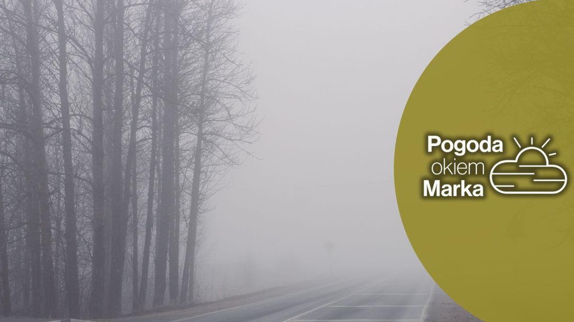 zdjęcie przedstawia zamgloną drogę przez las