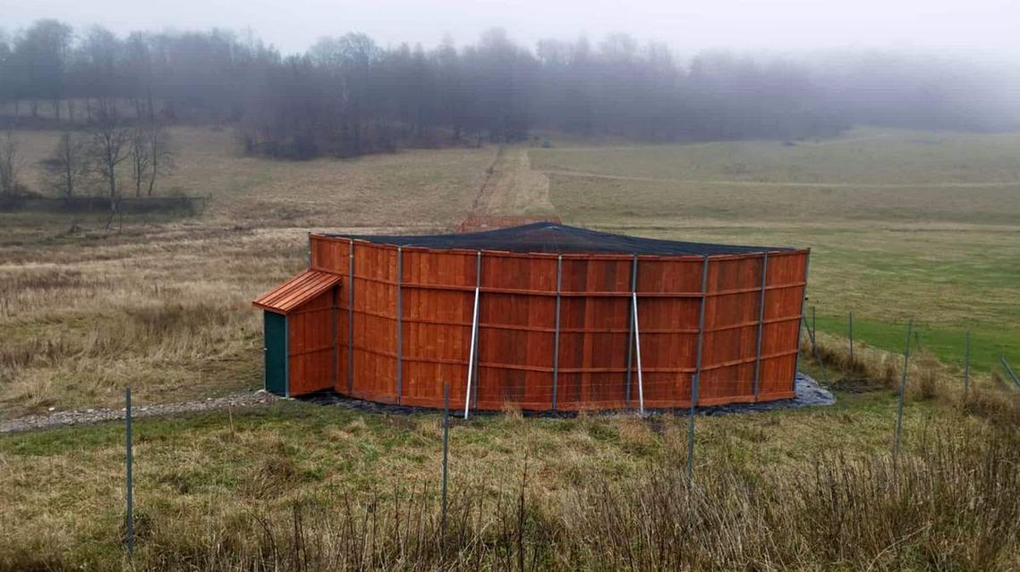 Nowa lotnia dla ptaków drapieżnych w Krzywej zdjęcie przedstawia drewnianą konstrukcję na łące