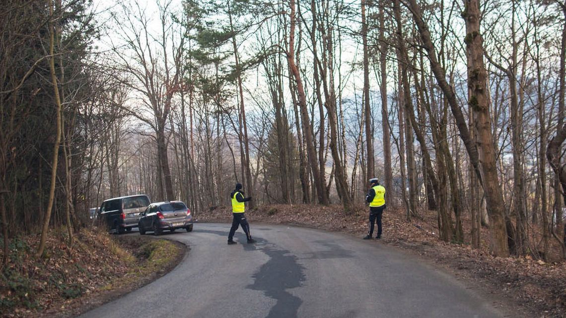 zdjęcie przedstawia policjantów na ulicy w lesie