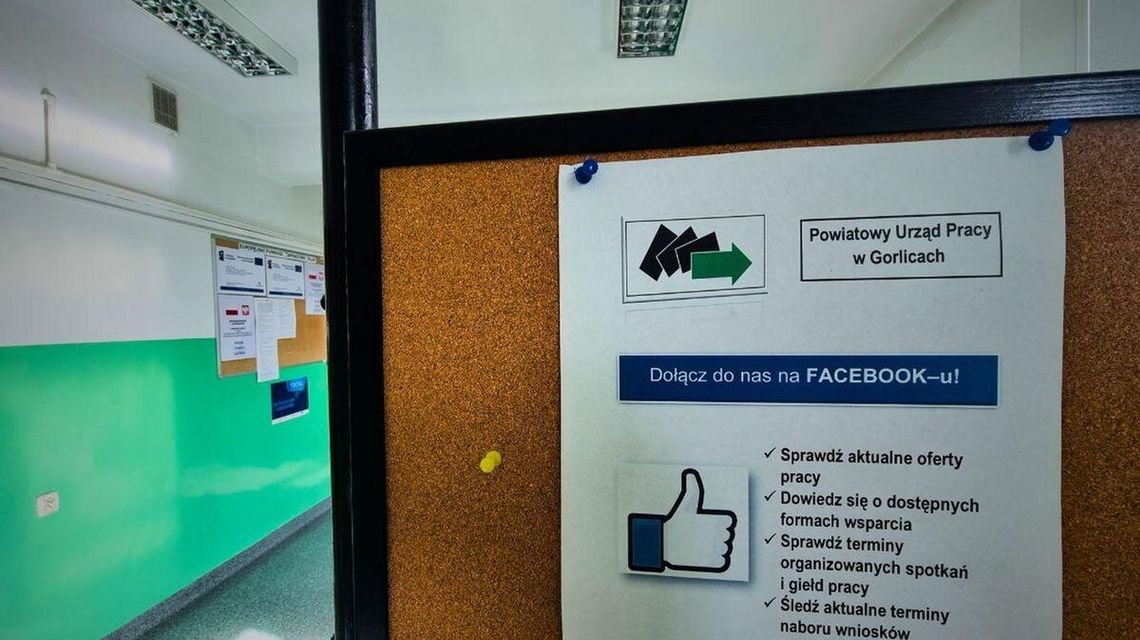 zdjęcie przedstawia ogłoszenia na tablicy informacyjnej w korytarzu budynku