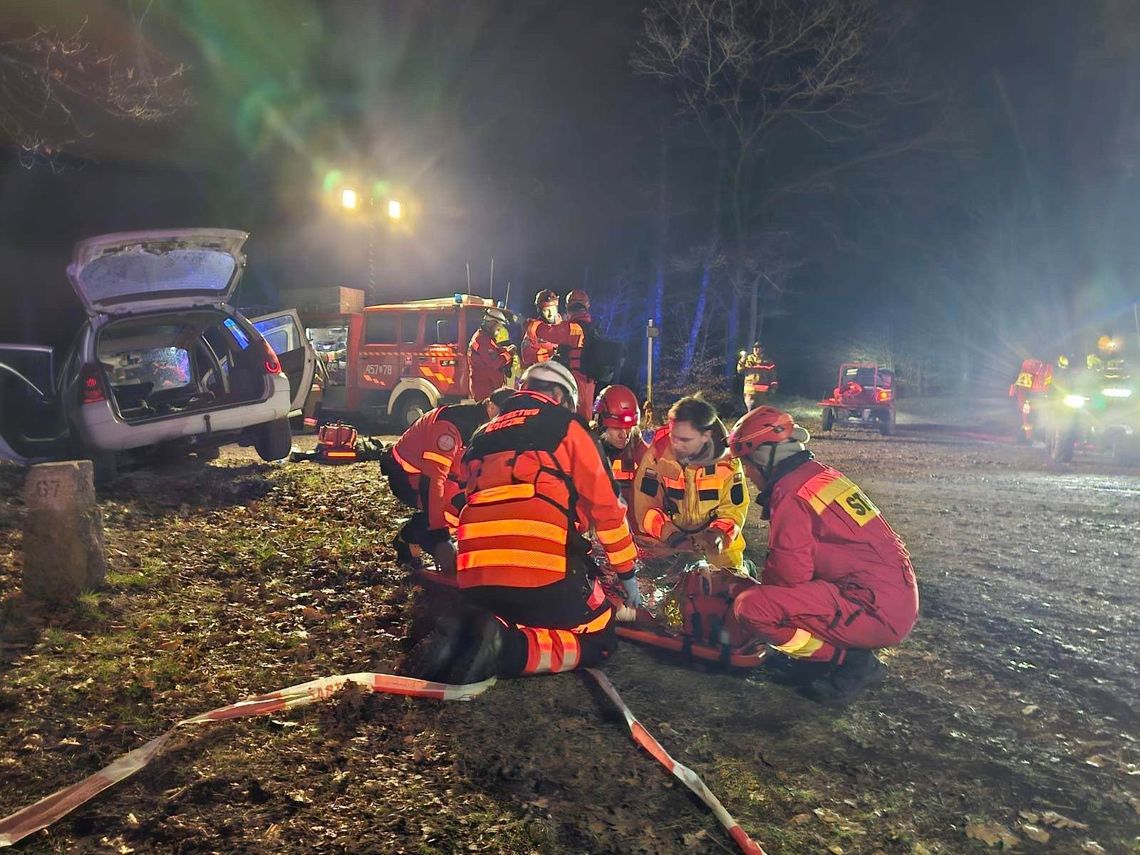 zdjęcie przedstawia grupę służb w lesie