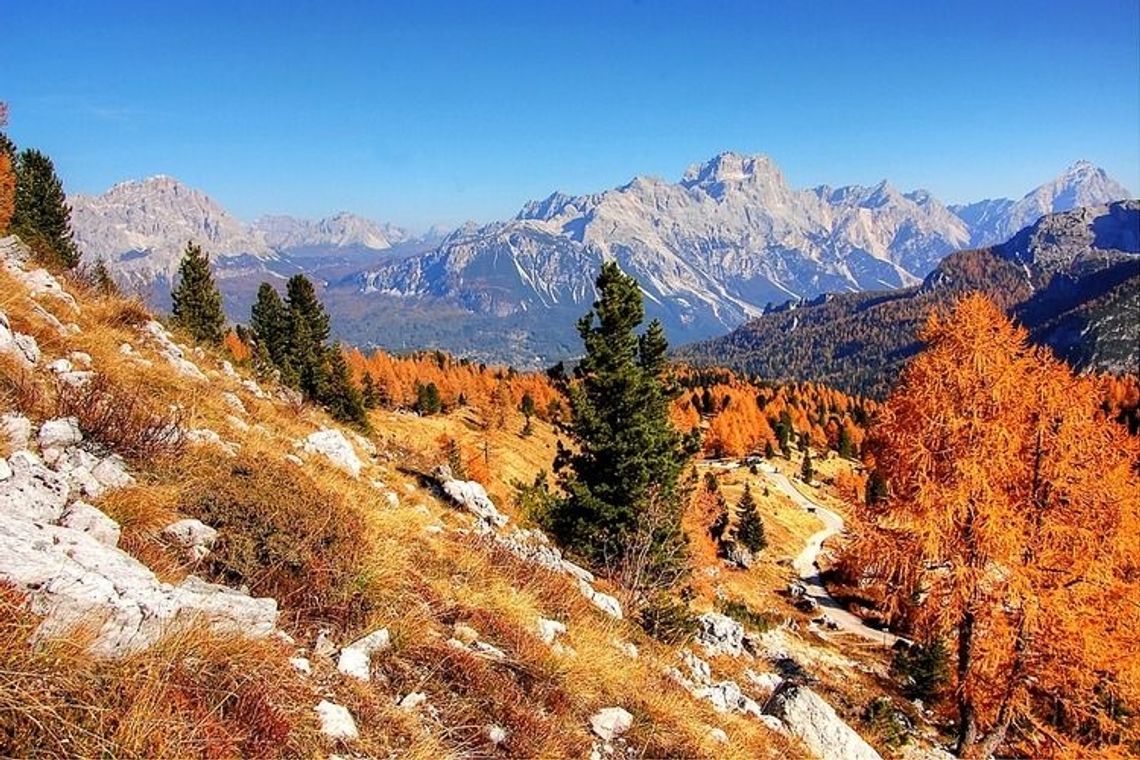 Okazyjna cena w Zakopcu? To może być oszustwo!