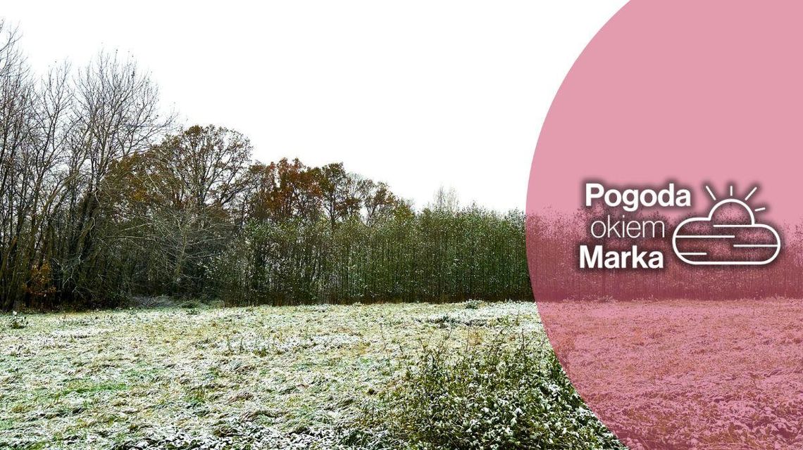 zdjęcie przedstawia polanę, trawę przykrył delikatny śnieg