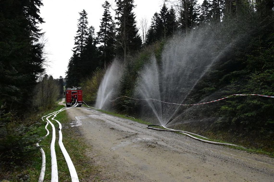 Pali się las! Kolejne ćwiczenia strażaków z Gorlickiego.