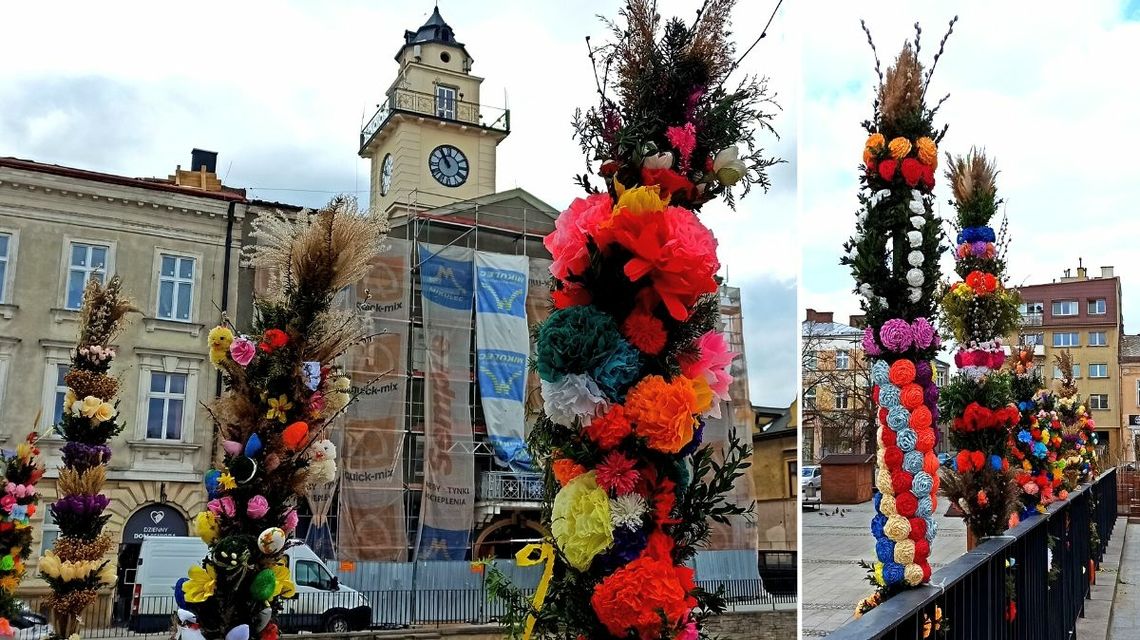 Palmy ozdobiły gorlicki Rynek. Przychodźcie, podziwiajcie [FOTO]