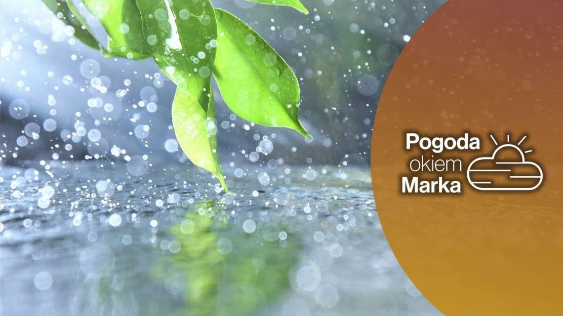 zdjęcie przedstawia deszcz padający na drogę