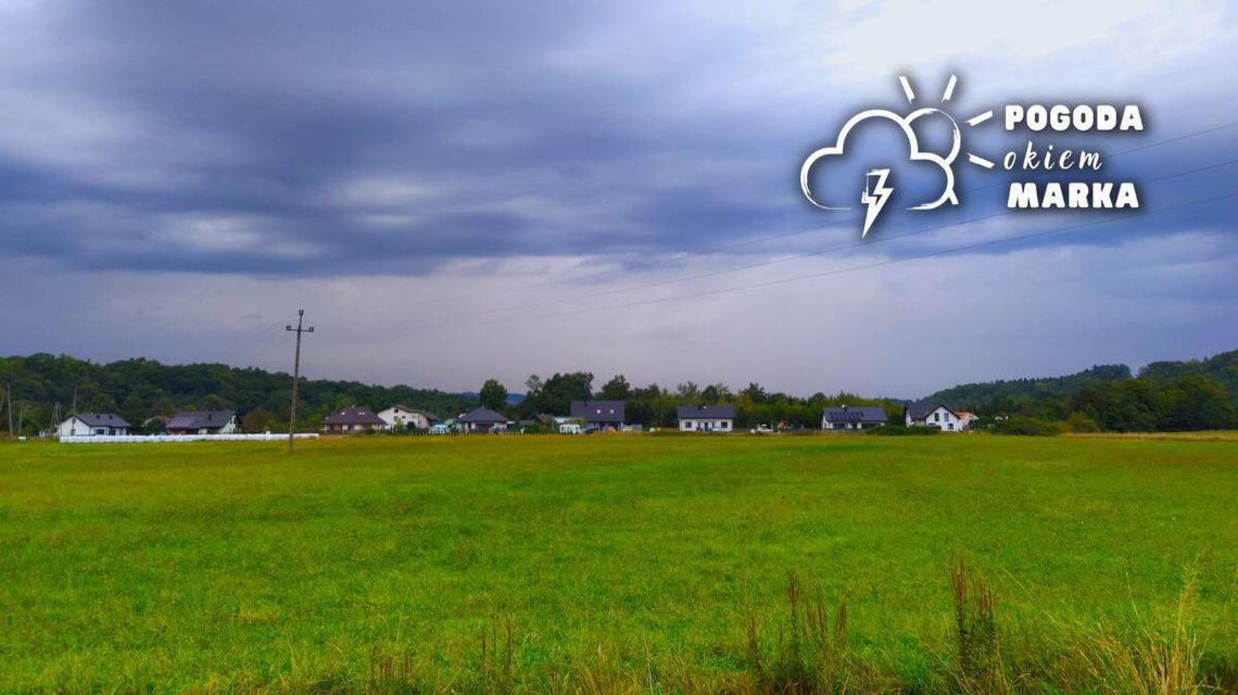 ciemne niebo nad lasem i polaną