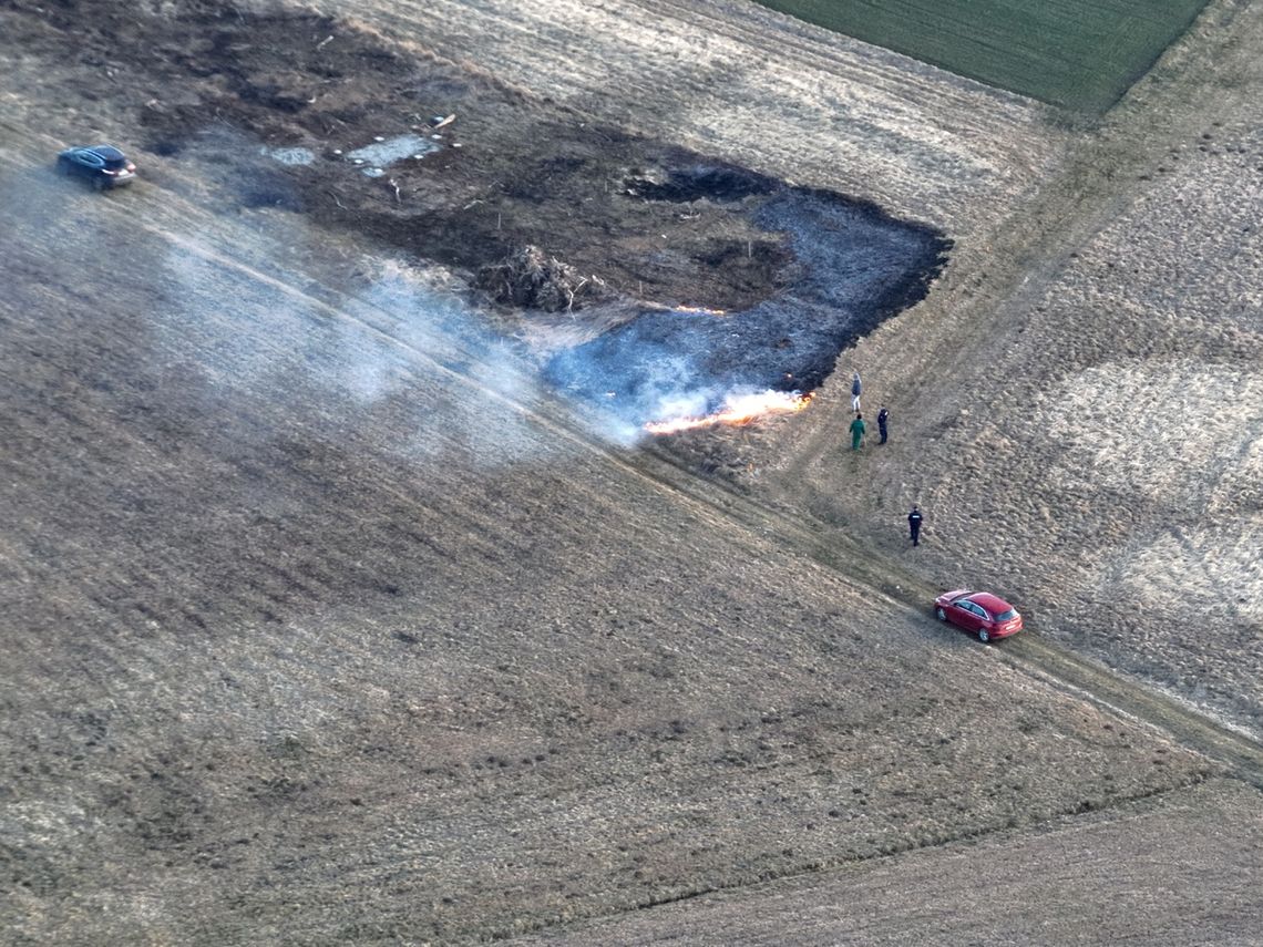 Zdjęcie przedstawia palącą sie trawe