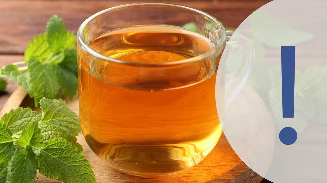 Zdjęcie przedstawia melisę