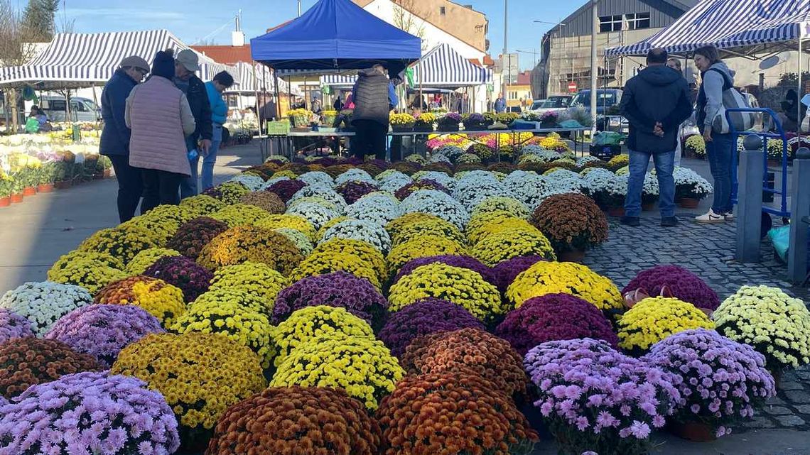 zdjęcie przedstawia kwiaty na bazarku
