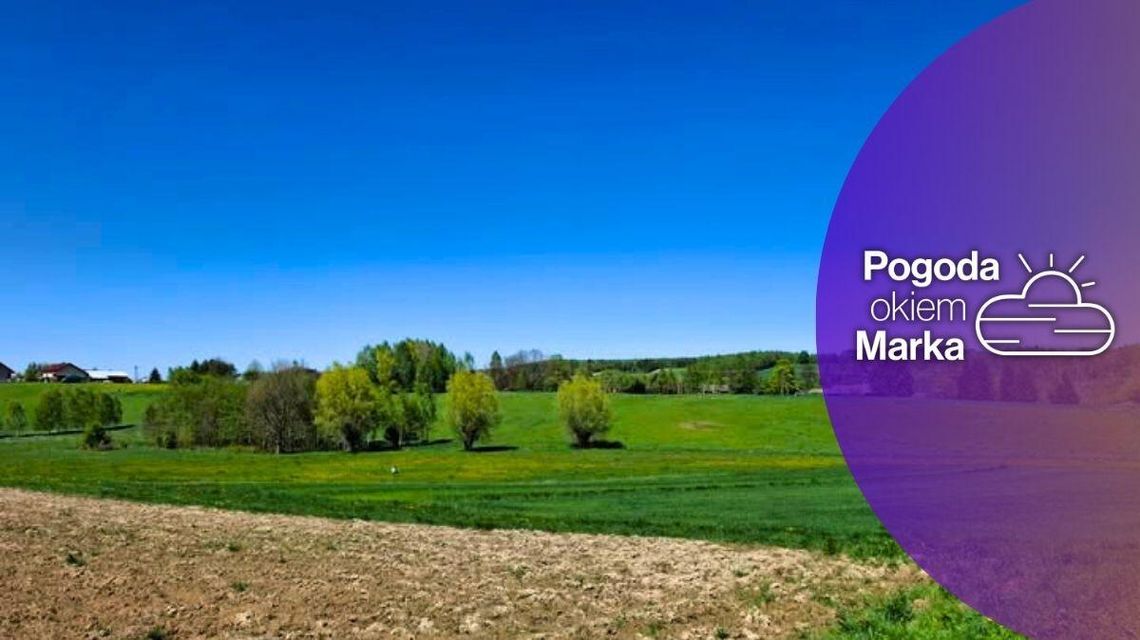 zdjęcie przedstawia zieloną polanę i las w oddali