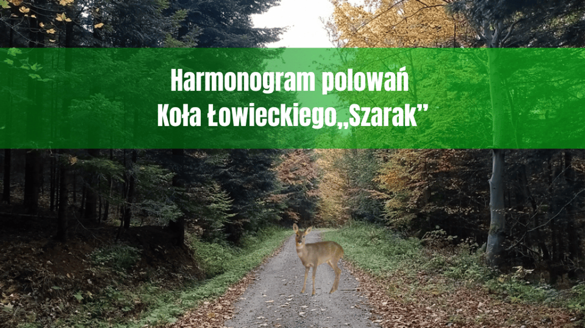 Polowania zbiorowe koła łowieckiego „Szarak” – terminy i miejsca