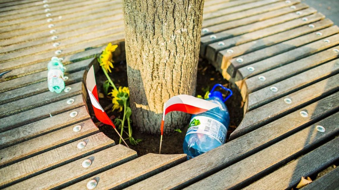 zdjęcie przedstawia dwie chorągiewki wetknięte do ziemi