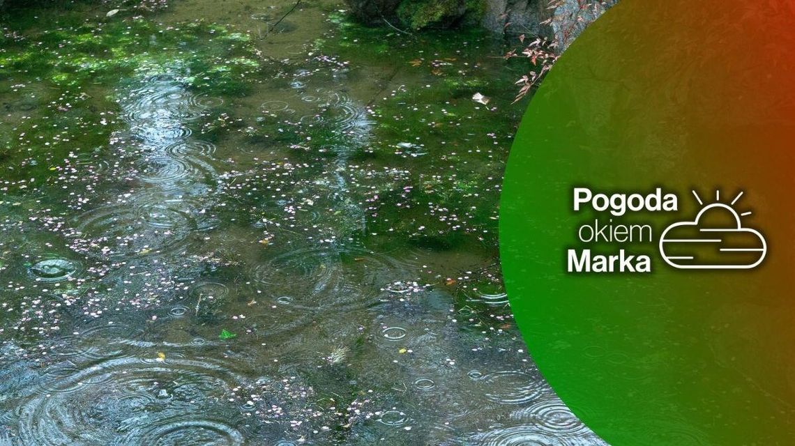 Poniedziałek najpierw pochmurny, potem się wypogodzi | Prognoza pogody na dziś - halogorlice.info zdjęcie przedstawia kałużę z deszczem