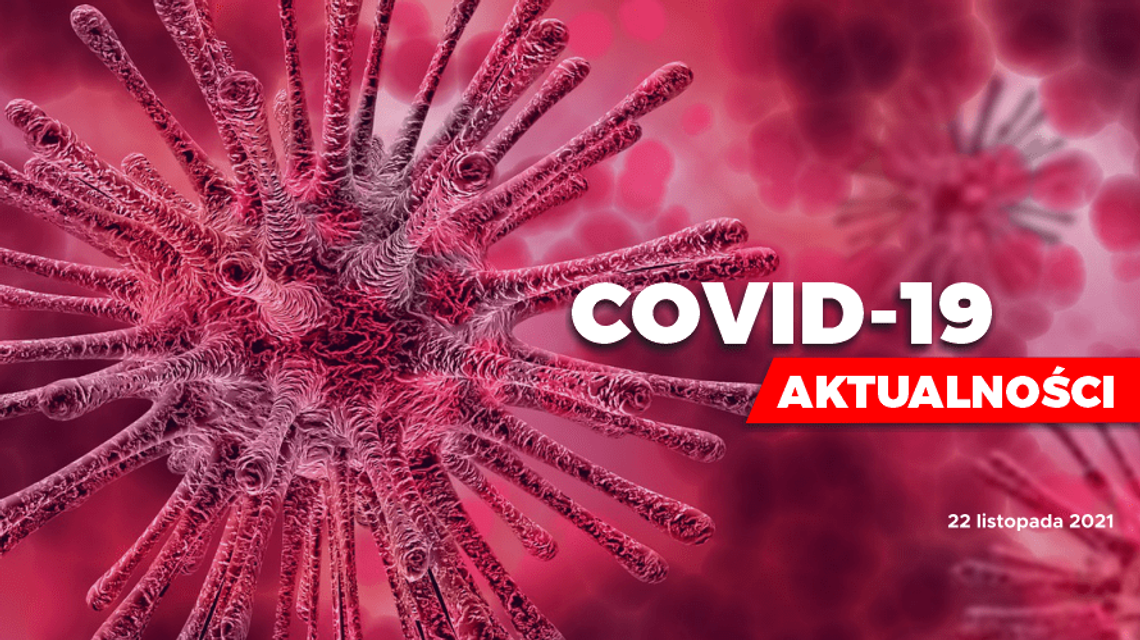 Poniedziałek. W ciągu ostatniej doby wykonano ponad 48,5 tys. testów na koronawirusa [AKTUALIZACJA]