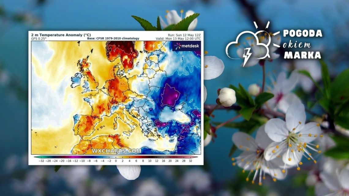 mapa pogody europy a w tle kwiaty jabłoni na drzewie