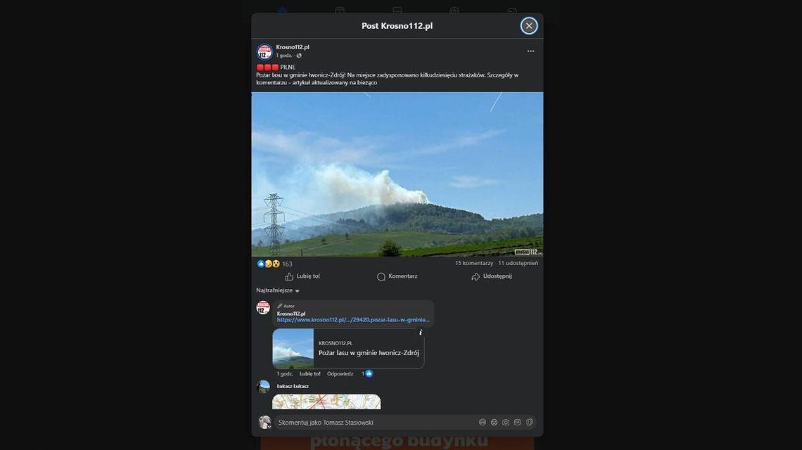 zdjęcie przedstawia dym unoszący się znad lasu
