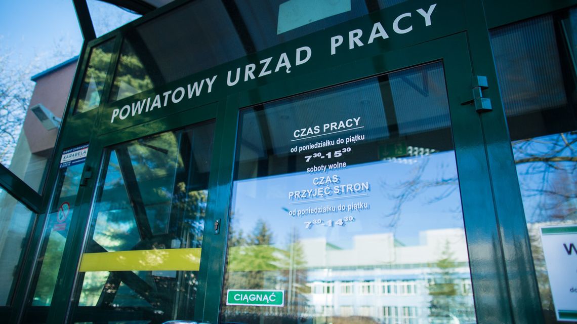 zdjęcie przedstawia wejście przeszklone do budynku