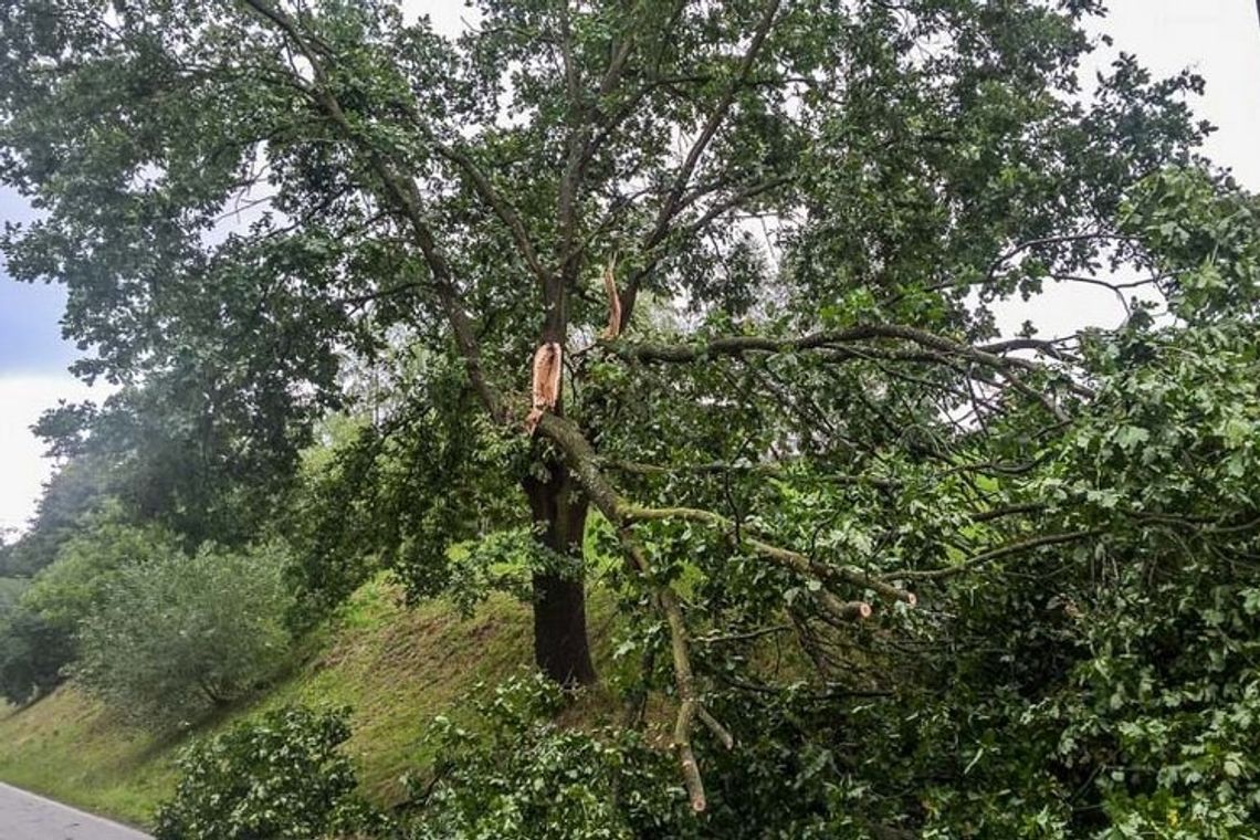 Prawie 90 strażaków sprzątało po wichurze