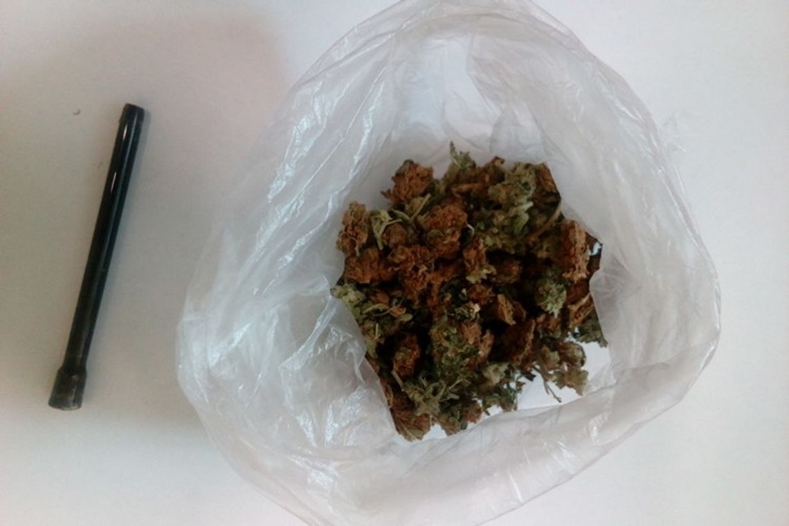 Przeszukanie warte 8 gramów marihuany