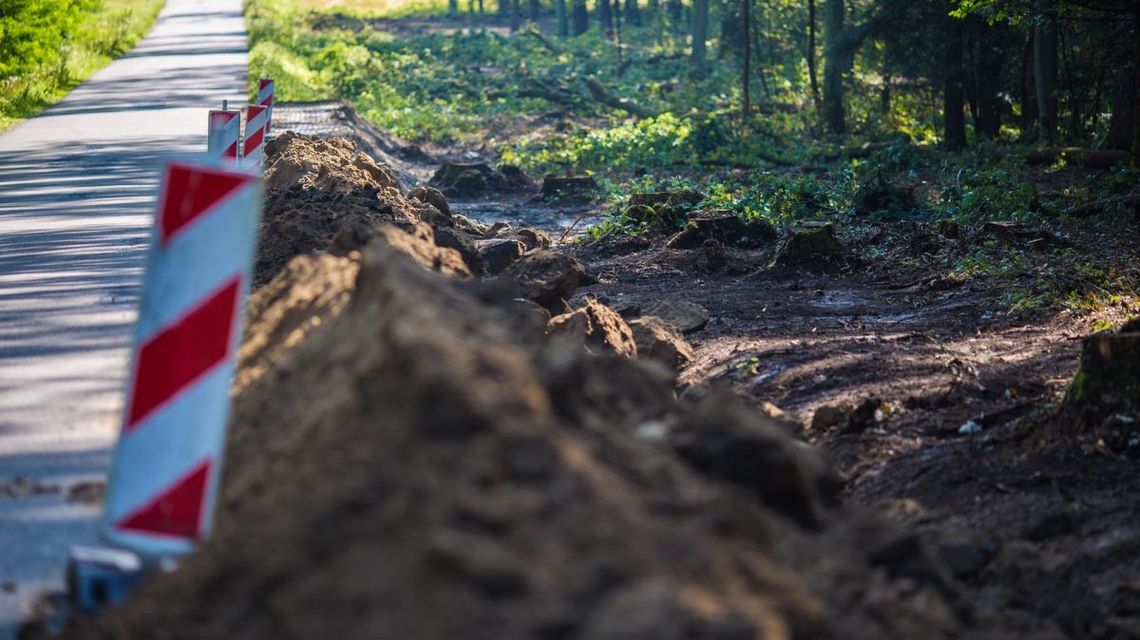 wycięte drzewa wzdłuż drogi z gorlic do kobylanki w trakcie budowy ścieżki pieszoro-rowerowej w przysiółku Rozbój