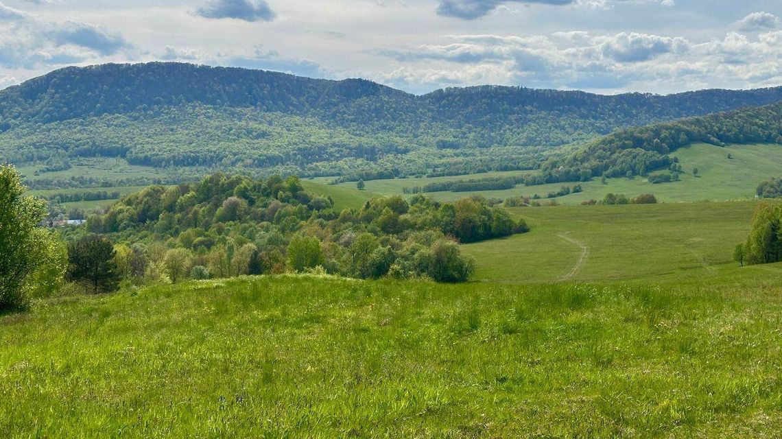 Quiz o Beskidzie Niskim. Sprawdź, ile wiesz o górach, szlakach i punktach widokowych Zdjęcie przedstawia panoramę Beskidu Niskiego