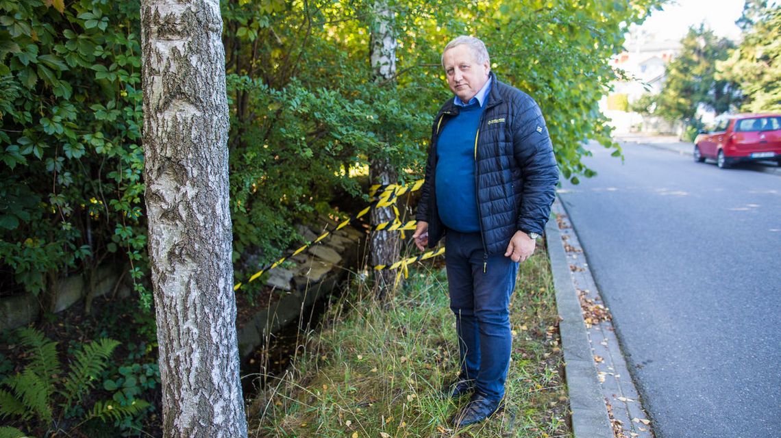 Radny Adam Piechowicz chce zmian na osiedlu Królów. Na początek kanalizacja na ul. Mieszka I mężczyzna stojący na trawniku przy ulicy między asfaltem a potokiem płynącym przez Os. Królów w Gorlicach