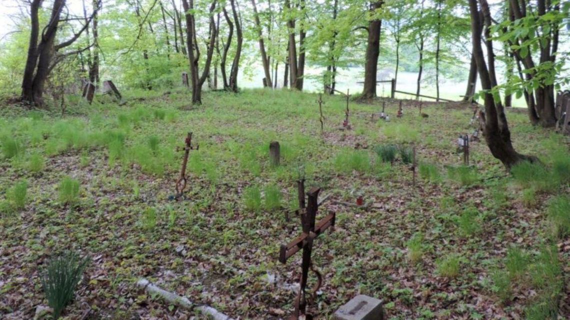 Zdjęcie przedstawia cmentarz wojenny nr 111 w Rożnowicach