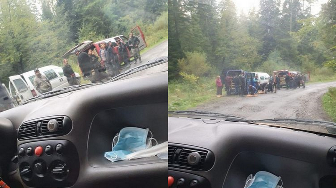 Rumuńscy grzybiarze masowo wywożą grzyby z Beskidu Niskiego. Komu taki interes się opłaca? ludzie stojący przy samochodzie w środku lasu