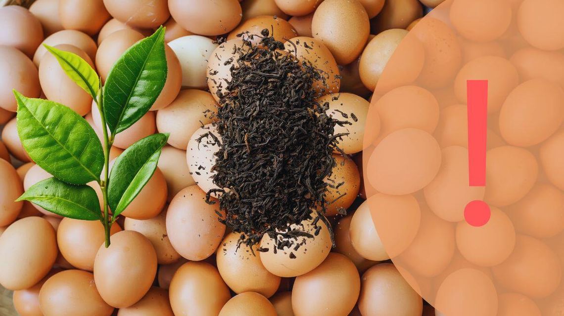 Zdjęcie przedstawia jaja i herbatę