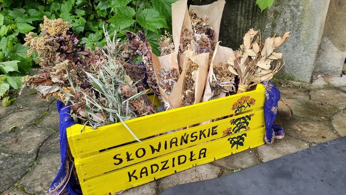 bukiety ziół spięte gumką w skrzynce z napisem słowiańskie kadzidełka